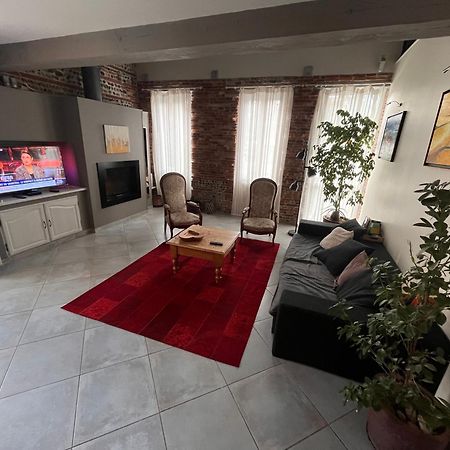 Magnifique Maison Toulousaine Toulouse Buitenkant foto